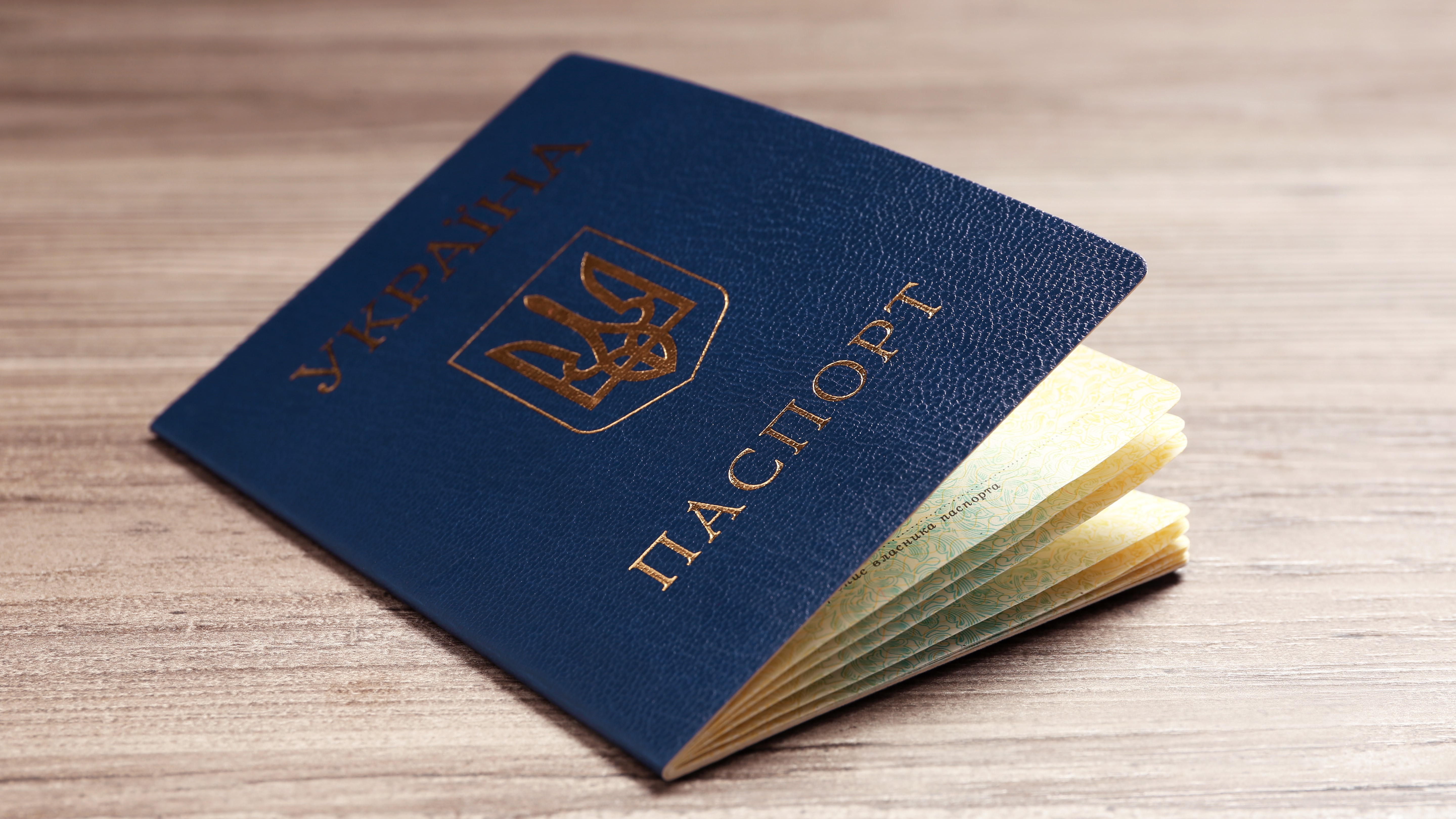 Internal passport
